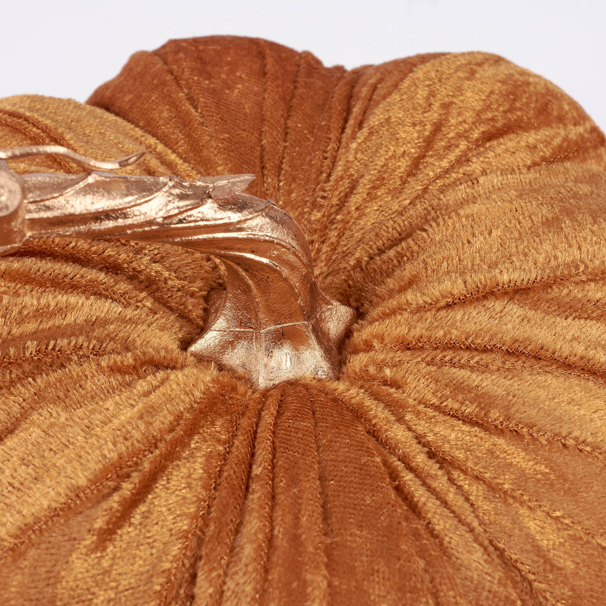 orange velvet pumpkin with golden stem