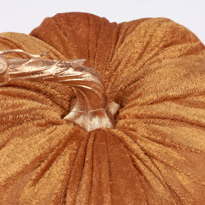 orange velvet pumpkin with golden stem
