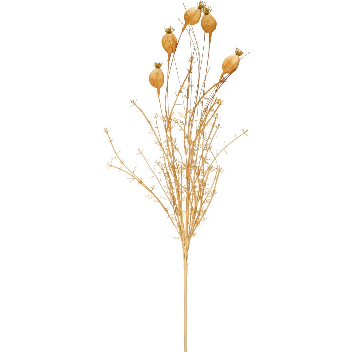 Dried Reeds And Pods Bouquet