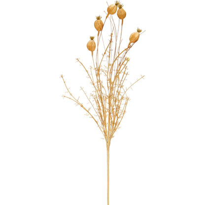 dried reeds and pods floral stem.