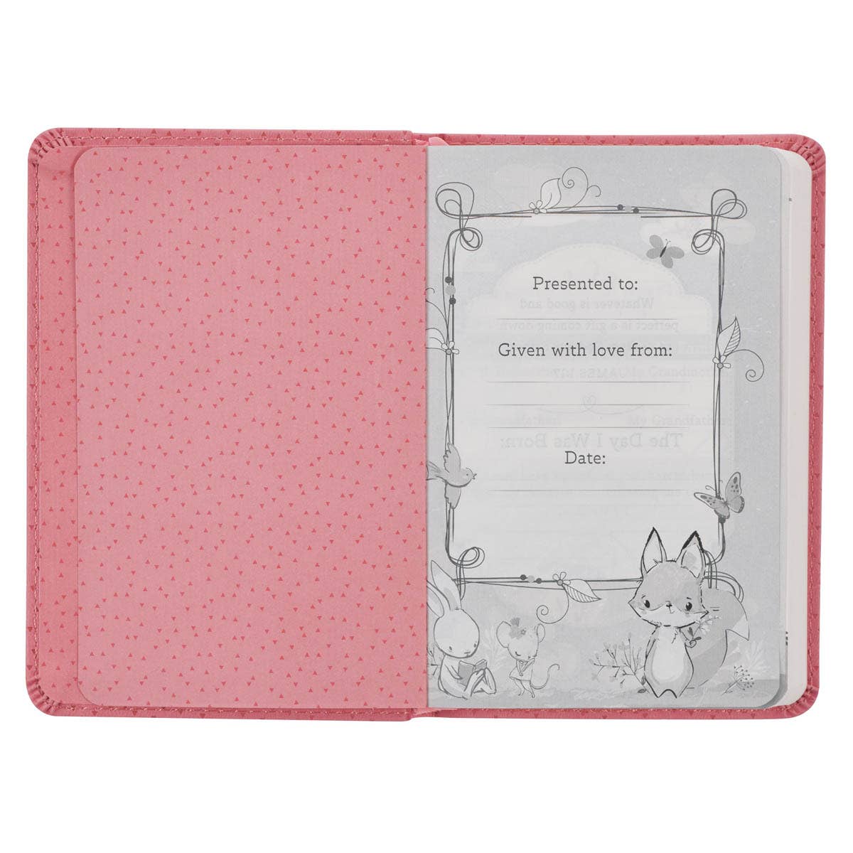 Pink Baby Bible