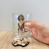 Bluetick Coonhound Sitting Rocks Glass
