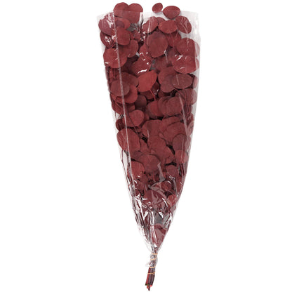 dark red dried eucalyptus stems