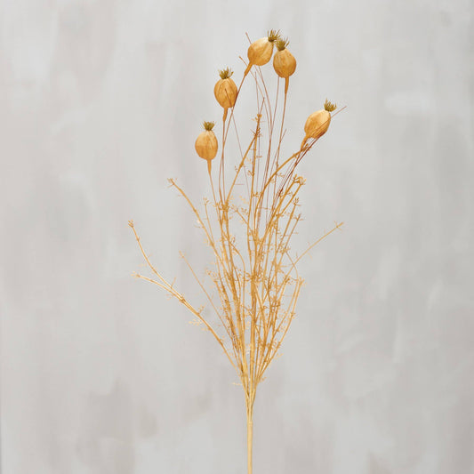 Dried Reeds And Pods Bouquet