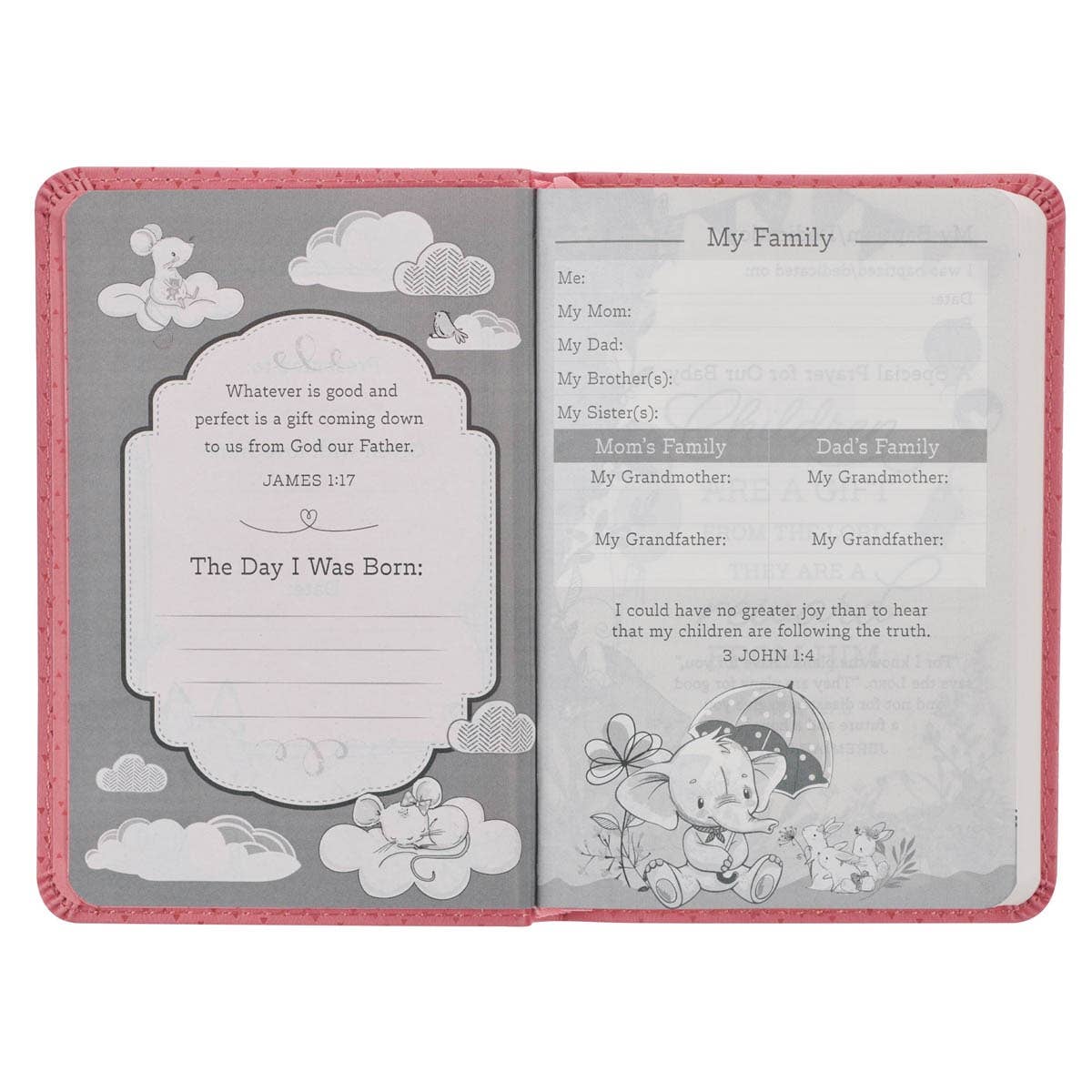 Baby girl Bible