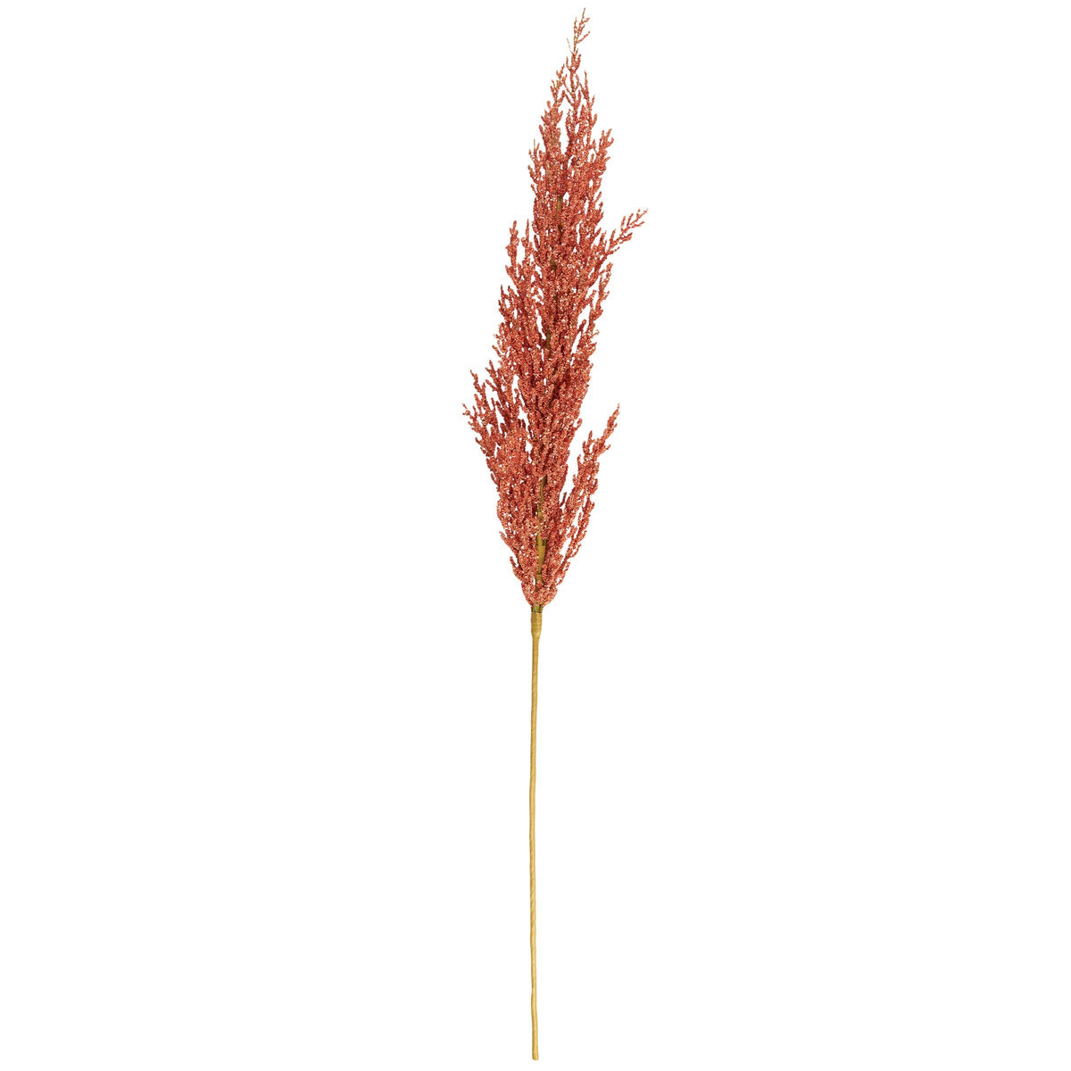 rusty orange artificial pampas grass stem.