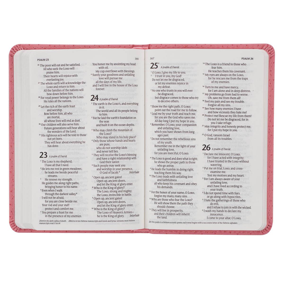 Baby girl Bible