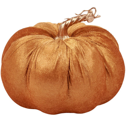 orange velvet pumpkin with golden stem