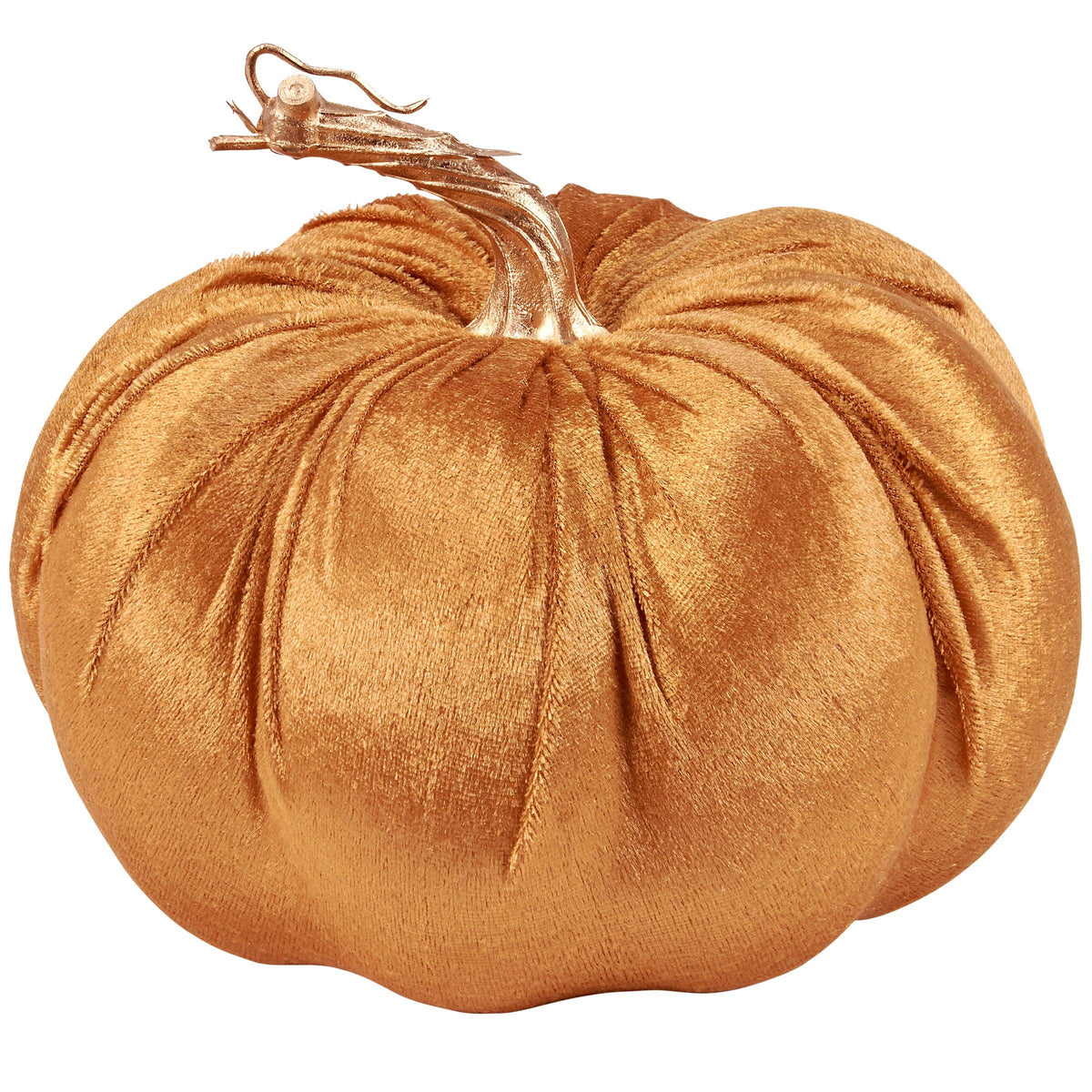 orange velvet pumpkin with golden stem