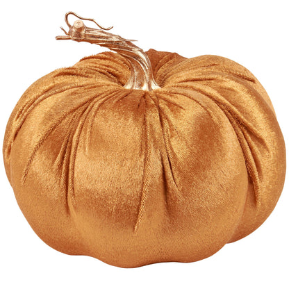 orange velvet pumpkin with golden stem