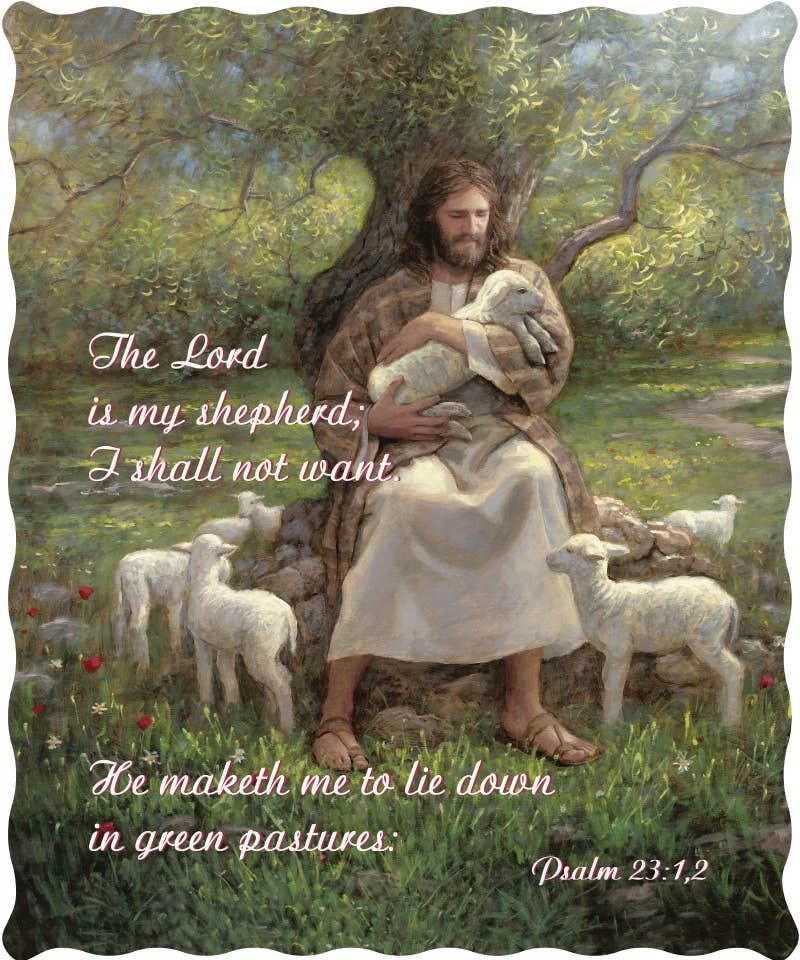 "The Lord is my Shepherd" Inspirational Quilted Throw 50x60"